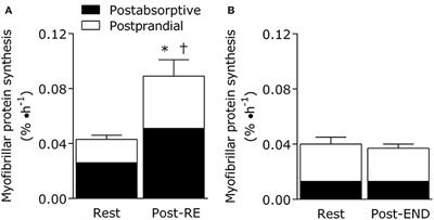 Dietary Protein Quantity, Quality, and Exercise Are Key to Healthy Living: A Muscle-Centric Perspective Across the Lifespan